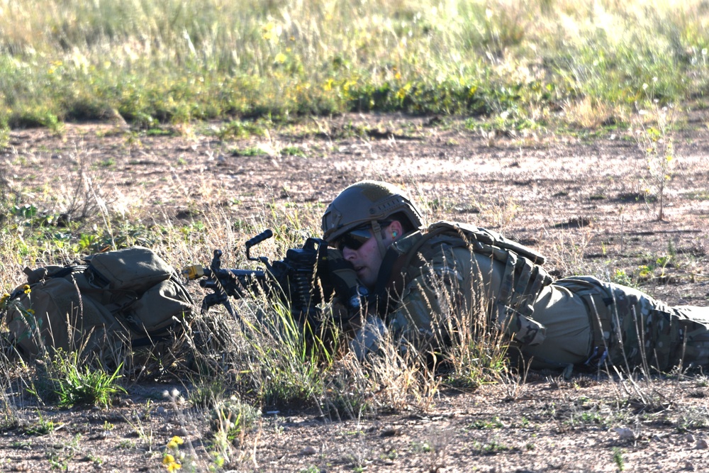 Tiger Rescue VI exercise