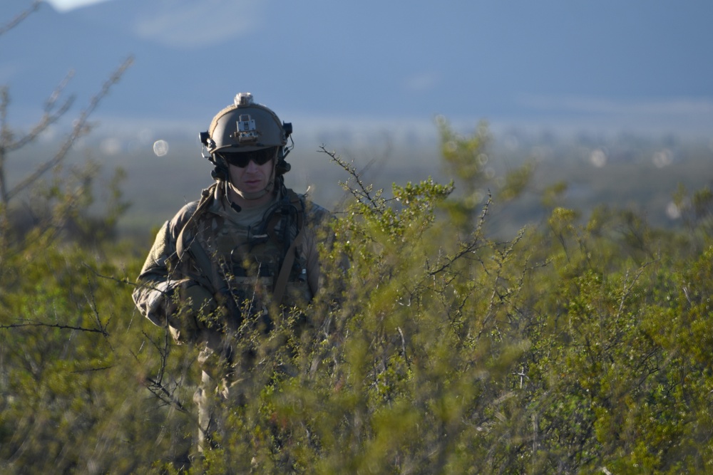 Tiger Rescue VI exercise