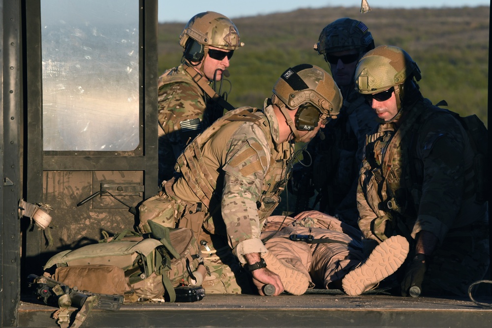 Tiger Rescue VI exercise