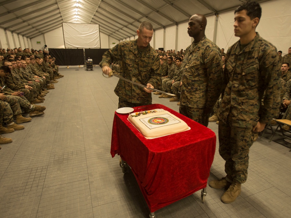 II MEF celebrates the Marine Corps Birthday in Norway