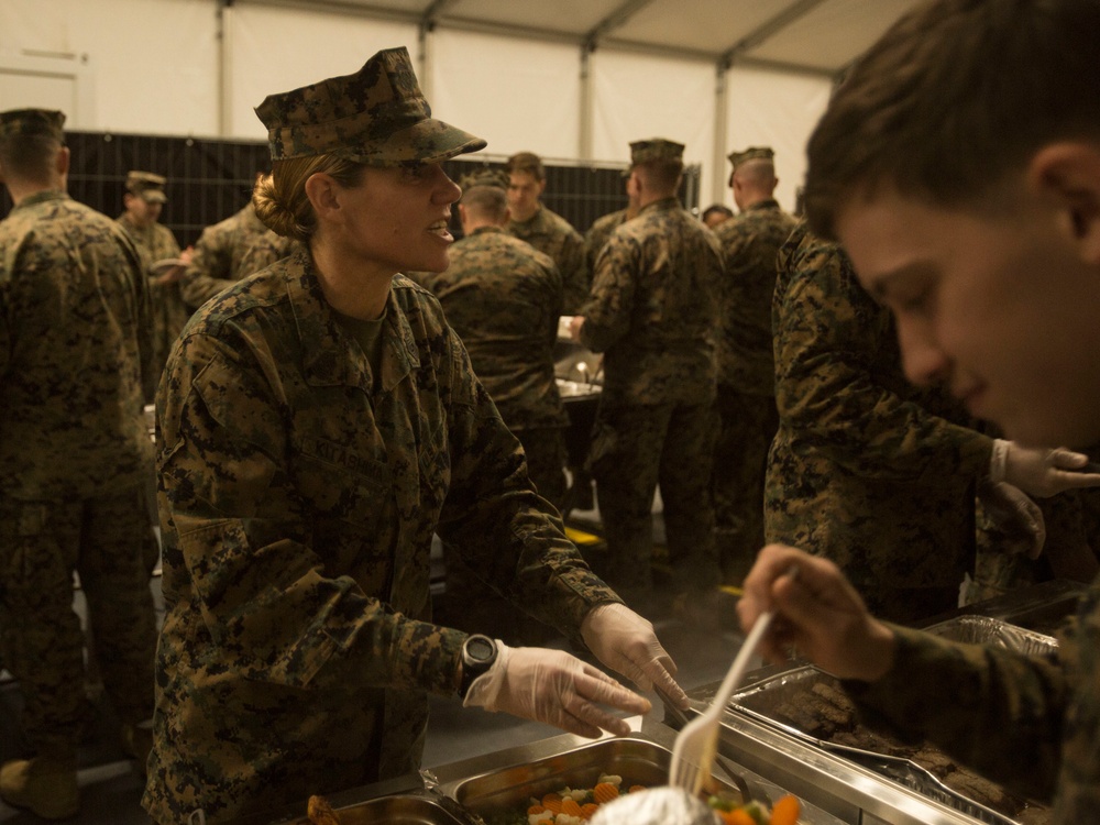Happy 243rd Birthday from Norway, Marines!