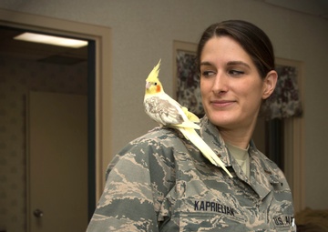 Honoring our veterans: Flying Yankees spend the day with local heroes