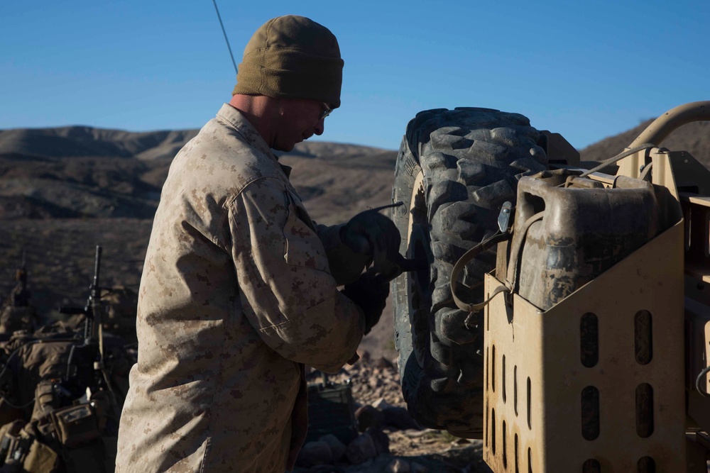 Marines with 1/1 provide support during ITX 1-19