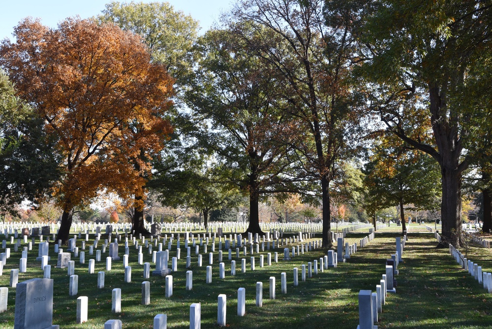 National Veterans Day Observance Held at Arlington National Cemetery
