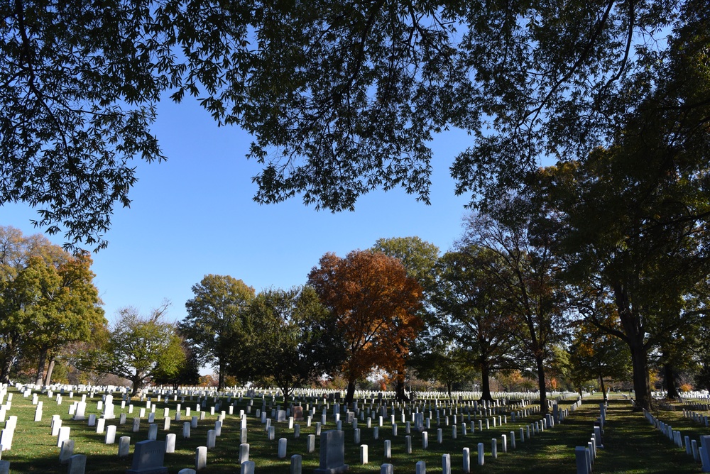 National Veterans Day Observance Held at Arlington National Cemetery