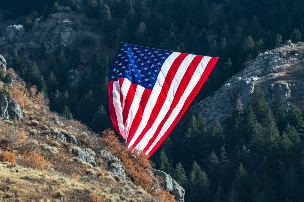 Flag flies for Veterans Day