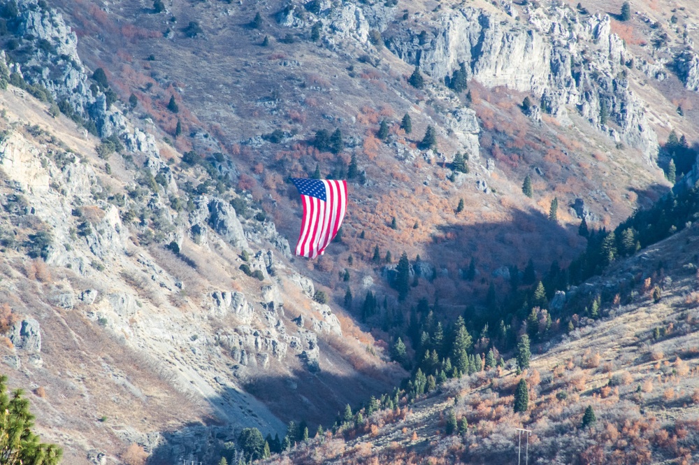 Flags fly for Veterans Day