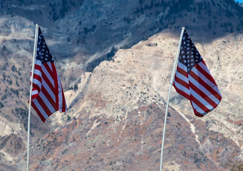 Flags fly for Veterans Day