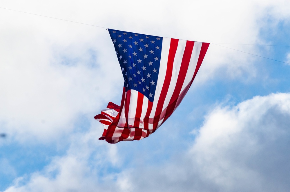 Flags fly for Veterans Day