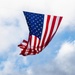 Flags fly for Veterans Day