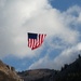 Flags fly for Veterans Day