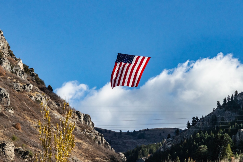 Flags fly for Veterans Day