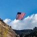Flags fly for Veterans Day