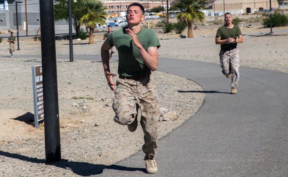 MWSS-274 conducts CFT during ITX-1-19