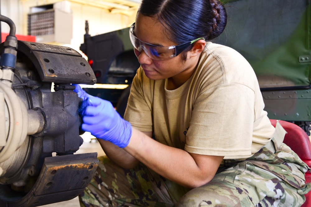 Hawaii Army National Guard's TASMG train in Connecticut