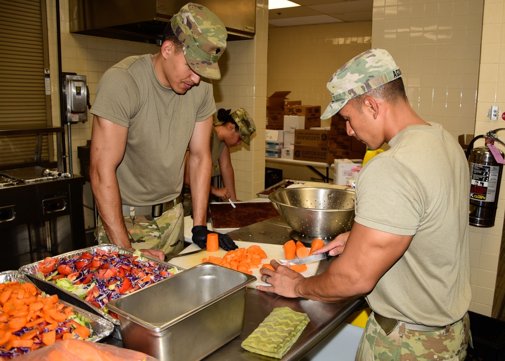 Hawaii Army National Guard's TASMG train in Connecticut