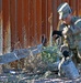 87th Sapper Company install c-wire in Arizona to support U.S. Customs and Border Protection