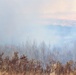 Post personnel coordinate November prescribed burn at Fort McCoy