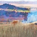 Post personnel coordinate November prescribed burn at Fort McCoy