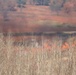 Post personnel coordinate November prescribed burn at Fort McCoy