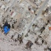 USACE surveys damage and progress on Mexico Beach