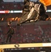 Band of the Golden West performs at 49ers Monday Night Football