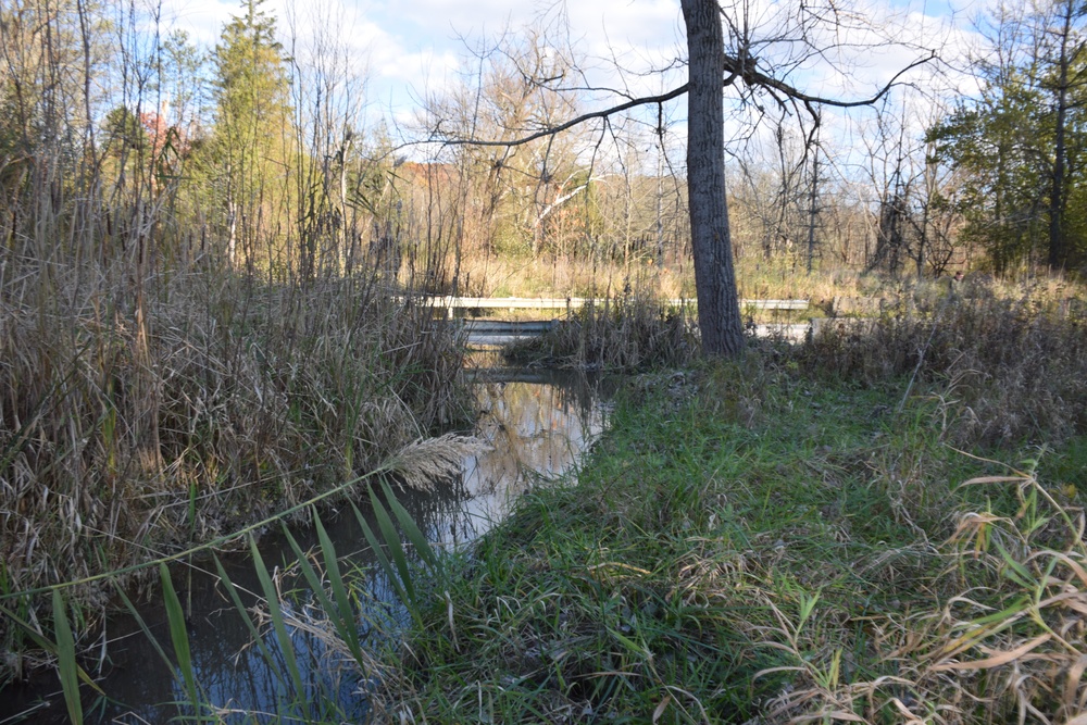 Buffalo District's Stanford Run restoration project site