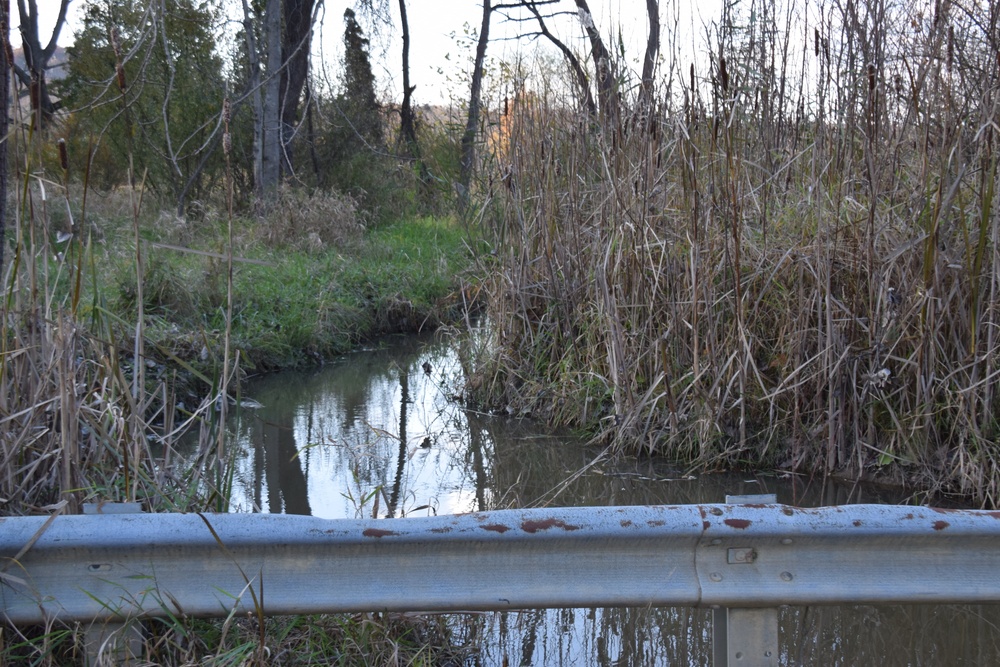 Buffalo District's Stanford Run restoration project site