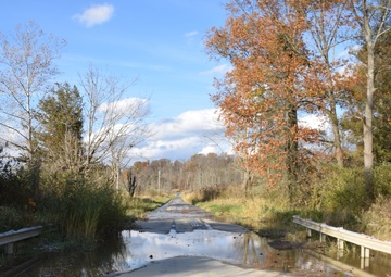Buffalo District's Stanford Run restoration project site