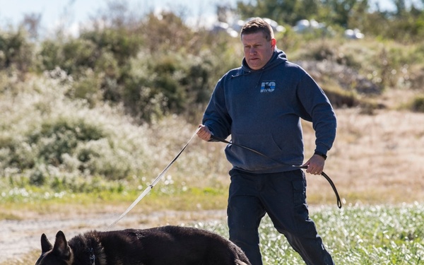 436th SFS Partners with Worcester K-9 unit