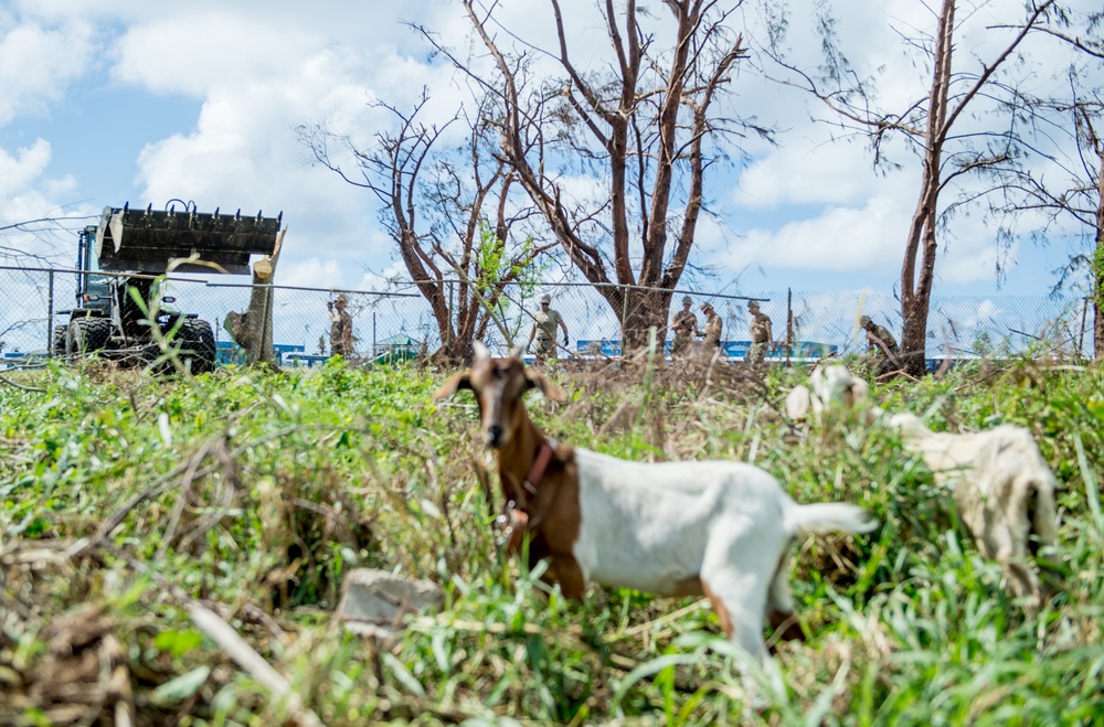 NMCB 1 Conducts Recovery Efforts in Tinian