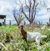 NMCB 1 Conducts Recovery Efforts in Tinian