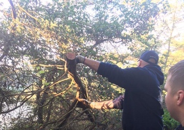 Coast Guard cleans up public hiking trails on Sucia Island