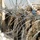 DOD prepares barriers for lane closures at the San Ysidro Port of Entry DOD prepares barriers for lane closures at the San Ysidro Port of Entry