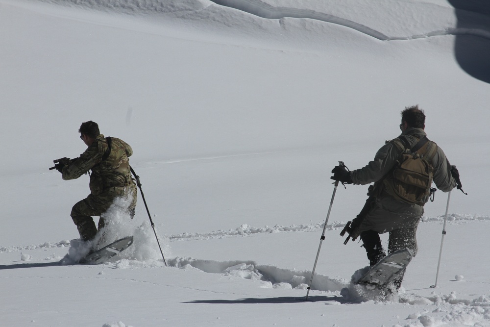 Soldiers Snow Shoe Cross Country