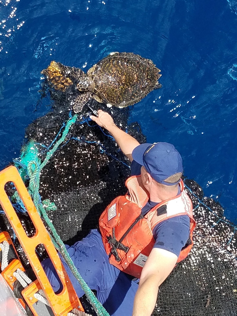 Coast Guard Cutter Spencer rescues entangled sea turtles during counter-narcotic patrol
