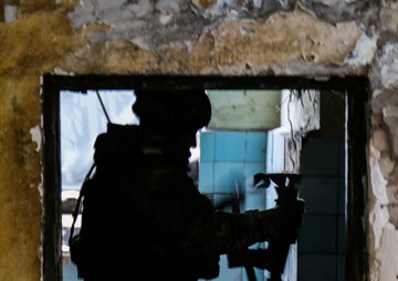 U.S. Soldiers support Georgia Defense Readiness Program