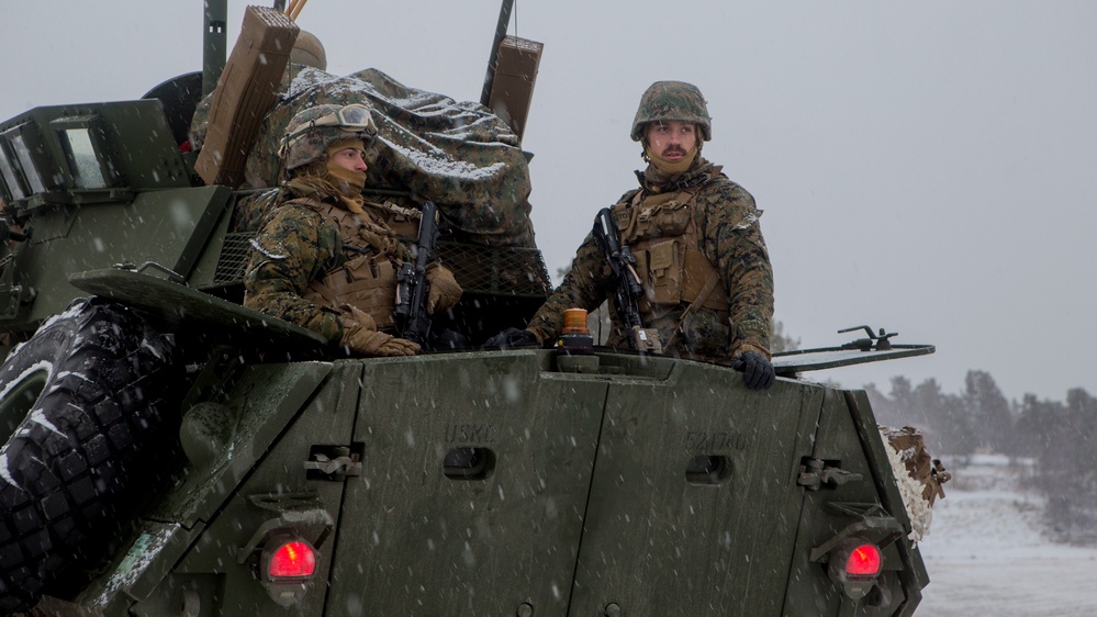 Marines Rise through Snowfall