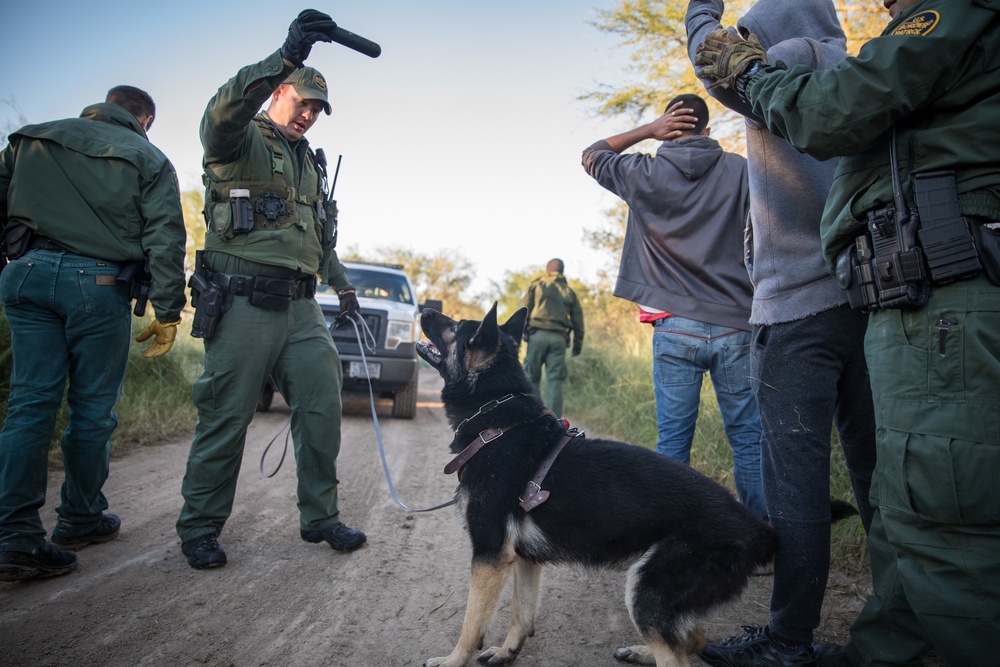 Dvids Images Us Border Patrol Arrests Aliens Illegally Entering The United States Image 