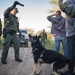 U.S. Border Patrol arrests aliens illegally entering the United States