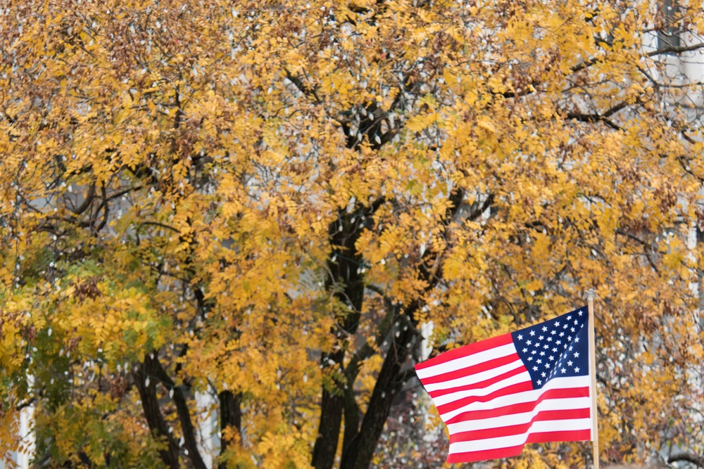 Louisville Veterans Day Parade