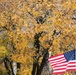 Louisville Veterans Day Parade