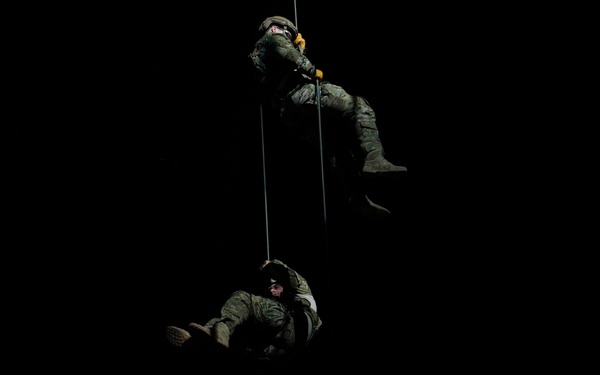 Airmen shine during VGK Military Appreciation Game