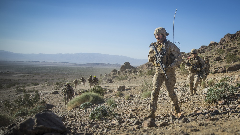 Darkhorse in the Desert