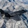 Navy's F35-C Take Flight