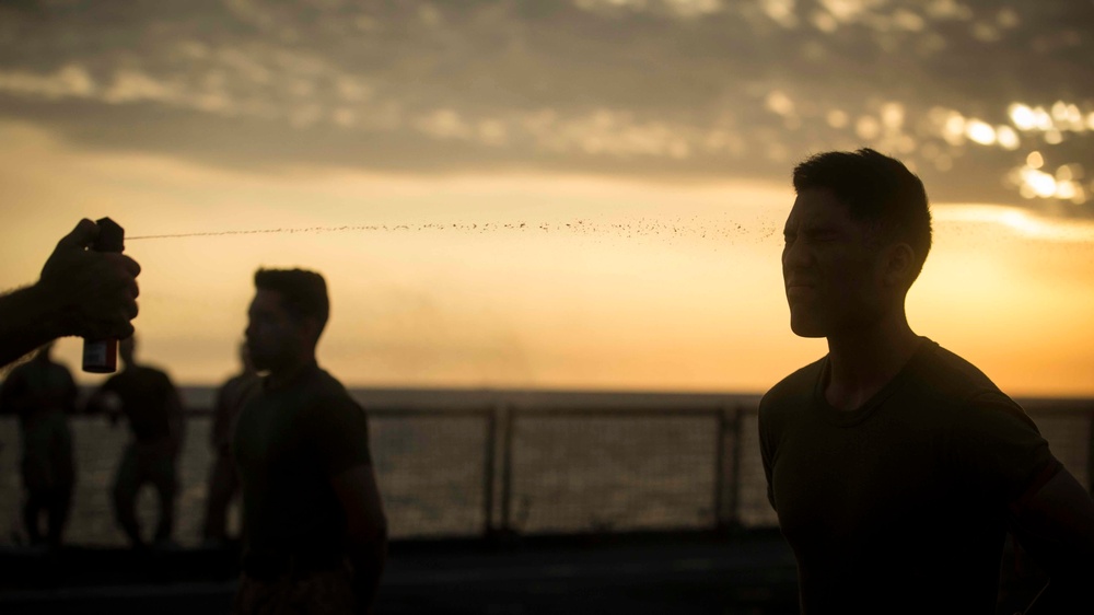 Marines get sprayed with OC on the flight deck