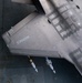 Pax ITF returns to HMS Queen Elizabeth for DT-2, week 2