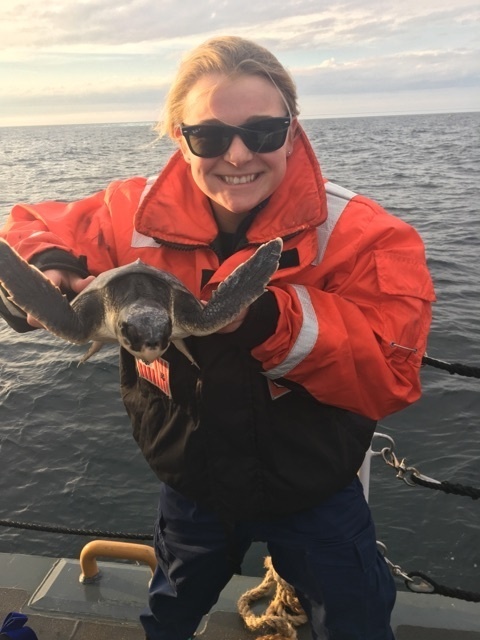 Coast Guard, North Carolina Aquarium release turtles offshore Cape Henry, Va