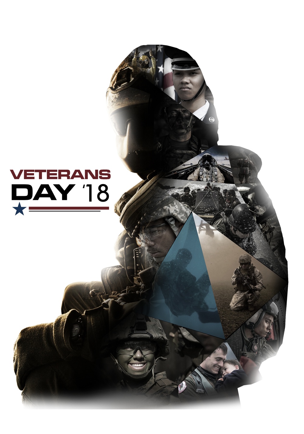 Veterans Day Social Media Post