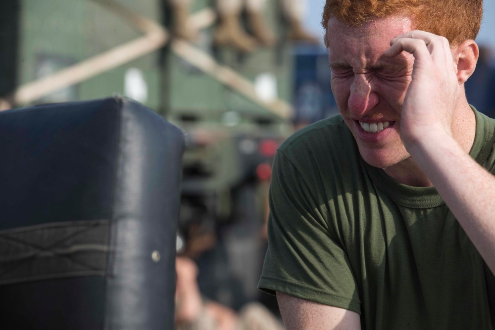 Marines endure the OC Spray Confidence Course